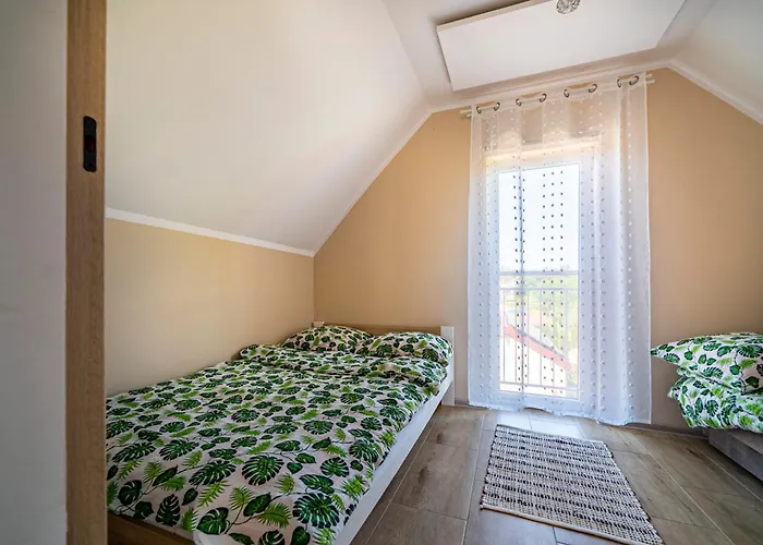 Szmaragdowe Morze Orman Evi Władysławowo